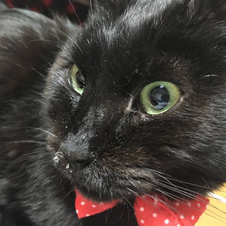 72f4b74c 4b9e 450c 8bf4 afc423451d93 1548847238809