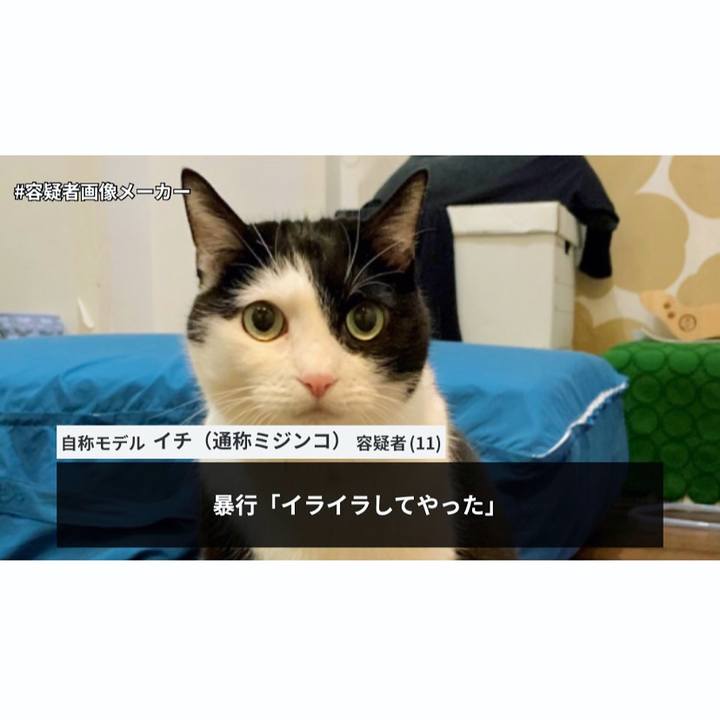 72f4eed5 ca85 4fba baf0 0ecf3ef28c0d 1672285738259