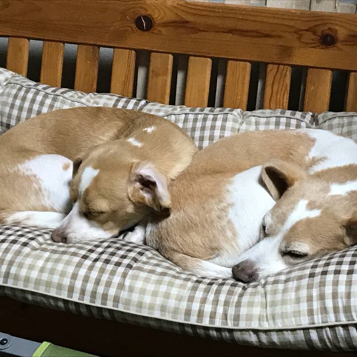 72f4f625 6409 4aa5 be4b 899248385f86 1510910193063