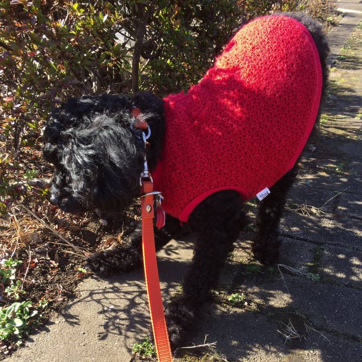 72f4ffb3 042d 4e0b baa3 177720c419f6 1514264309899