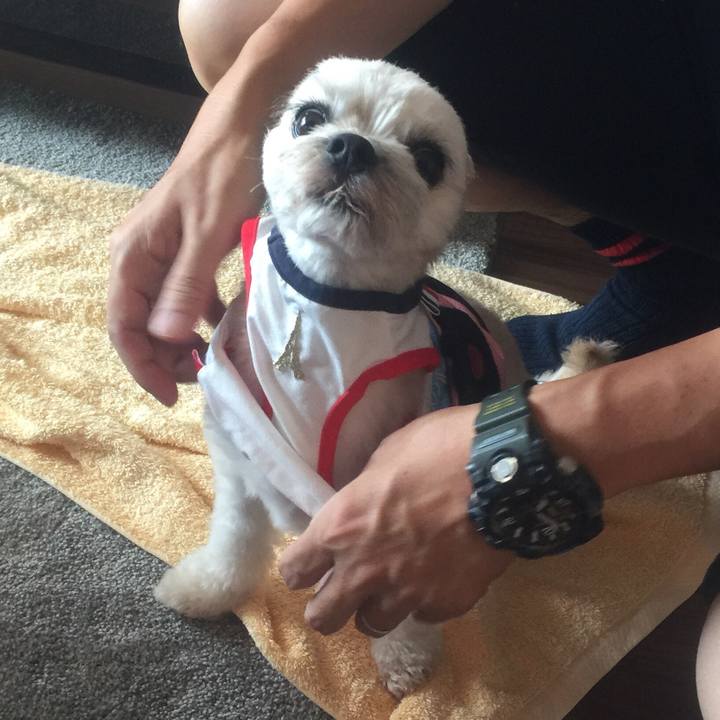 72f51f44 0752 41a4 8949 317514ae8b37 1535716343540