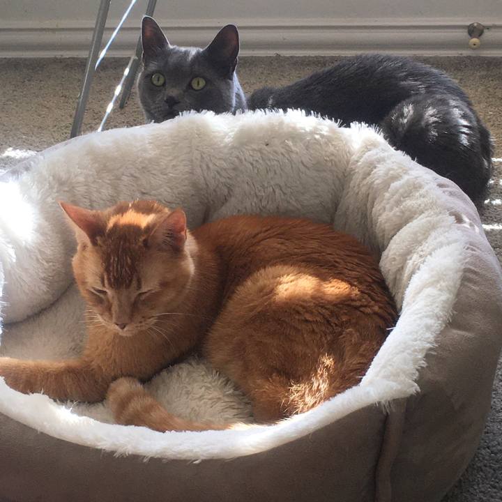 72f53b54 3094 44d2 9872 986a30167525 1693354586652