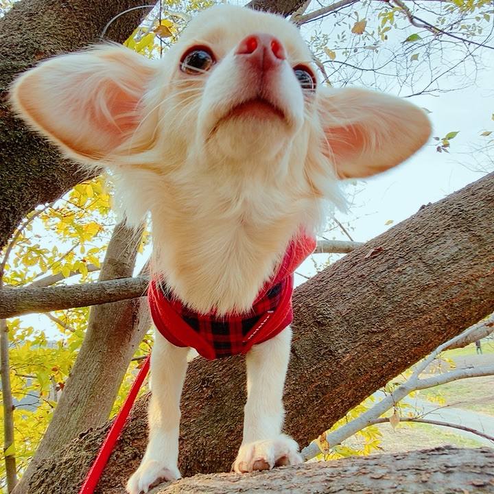 72f54427 2390 4416 8ba8 674a0502ed21 1607668730302