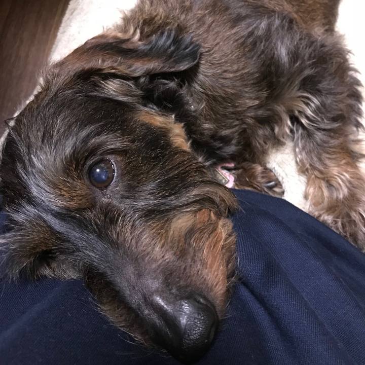 72f57b21 9a47 48c2 bcf0 8b6d97e729db 1519224853445