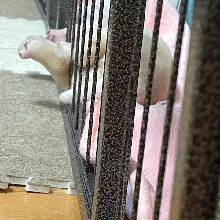 72f5ab76 d9b2 4317 bb66 da026e75022f 1625356644896