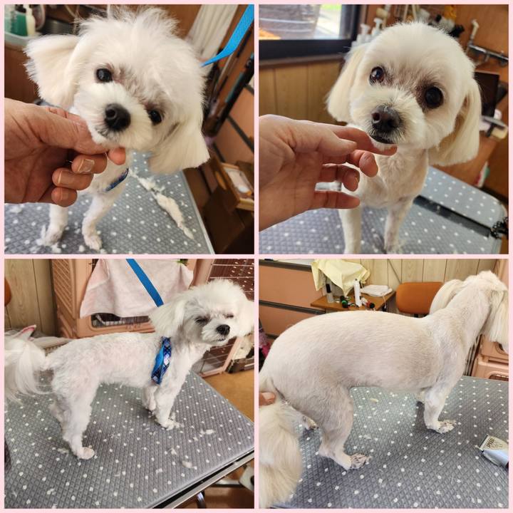 72f5aeee 745f 4069 9a5d 3cb63891a9d3 1722511561875