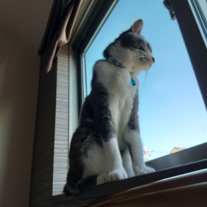 72f5c665 9b32 41d9 972f 9e8a110c1c6b 1633220772505