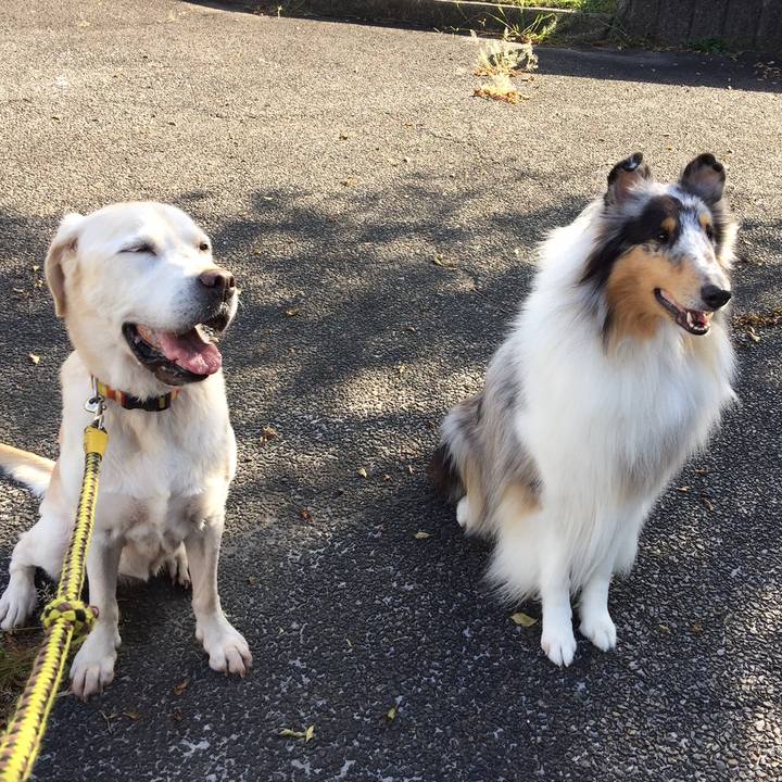 72f5e1dd 2013 4e16 a69a 25b178640f45 1558247450615