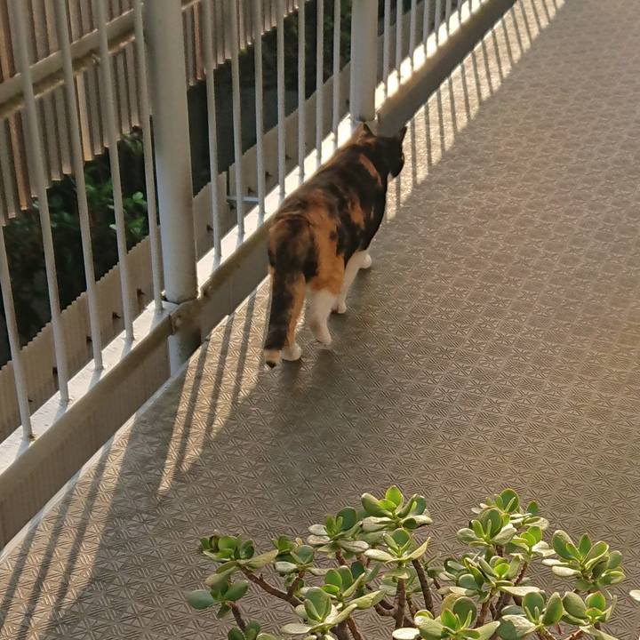 72f5e815 8e1e 4bfd 94ec 812ec03eff3a 1526614860977