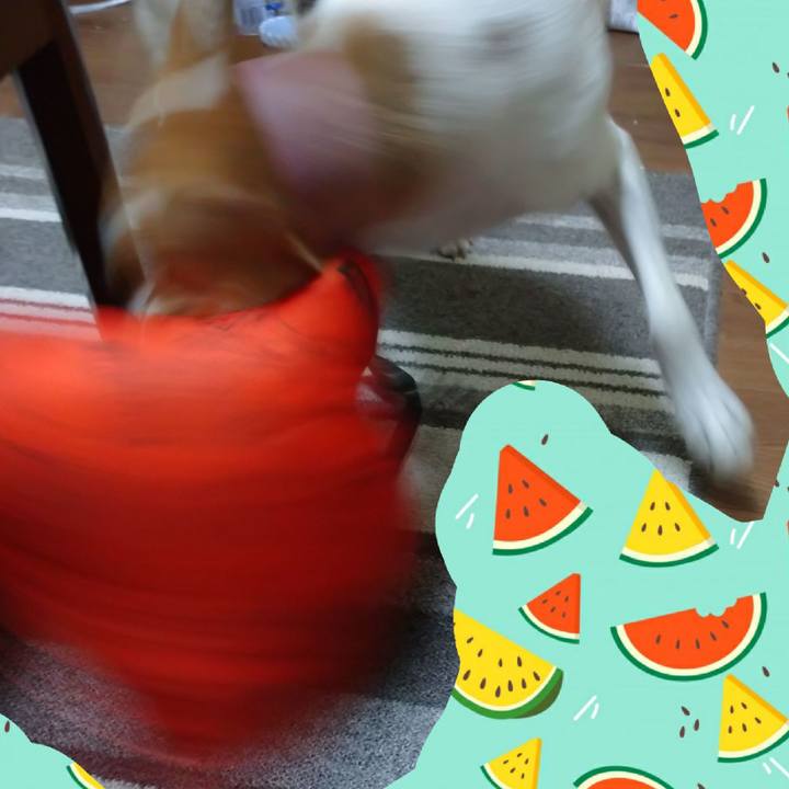 72f6110c 9824 4ab9 bacd 2435b507b879 1595571701289