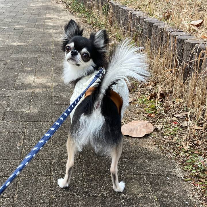 72f63565 b84b 481c 9872 8ea71c992c4c 1643429390129