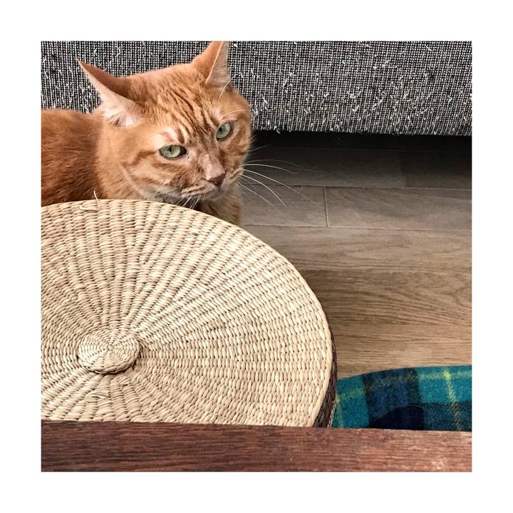 72f63b7c ef7e 40a6 bc06 7cb1b0d0d204 1636625961151