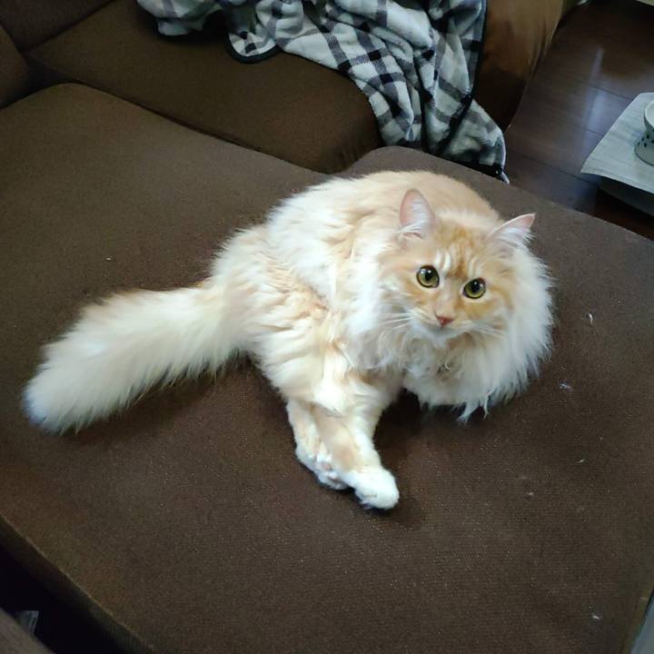 72f65a3f 9ae7 4d88 b6ba c2e6fec499b6 1716092681847