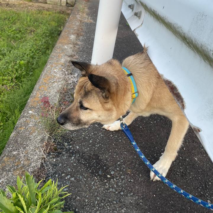 72f6721e 8ac8 4f54 b9d5 5d678df8b3e0 1651496783648