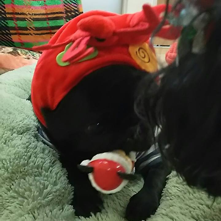 72f692c9 5c7d 4dc4 bad3 fec7def3cfd3 1546395575108