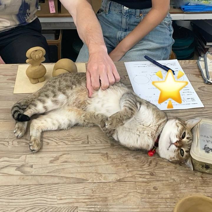 72f6ac4f c0c0 4d1f af03 79b206a0f460 1723897321523