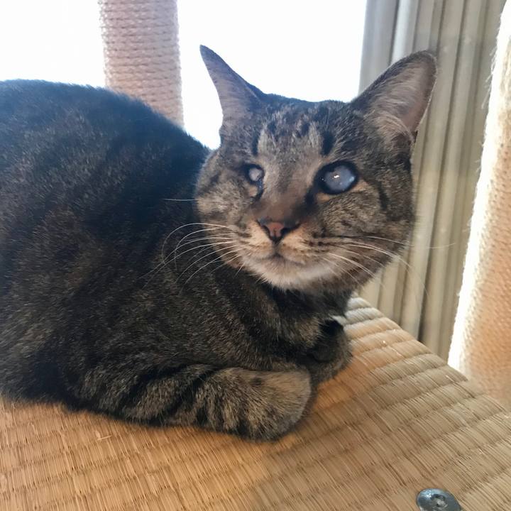 72f6fecc 0ecf 4870 bf35 ce410e3c7a8b 1583310429307