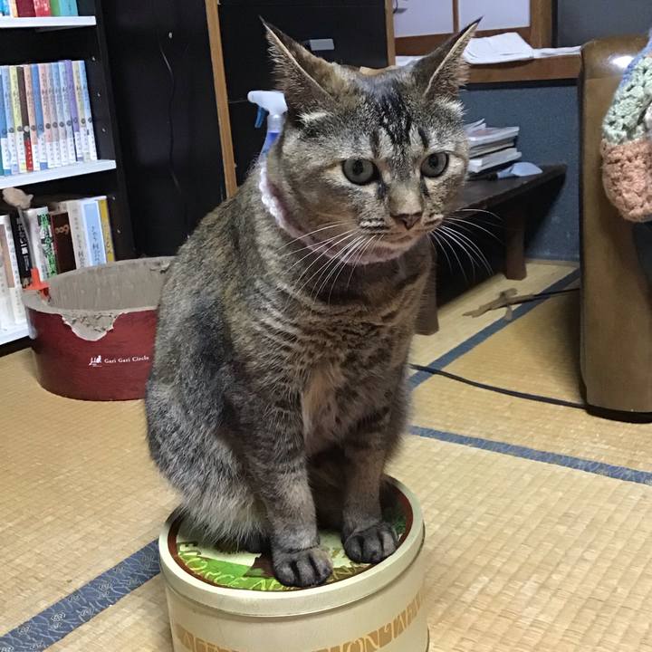 72f733a1 48d6 48a7 a6cd 3927b2055969 1691499744388