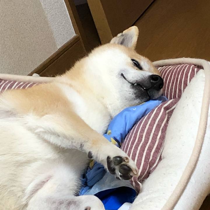 72f78156 292c 4d90 805f 898718523568 1559689733962