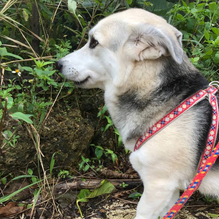 72f788fe 627b 4342 86d3 d9ec8b05e036 1546484551488