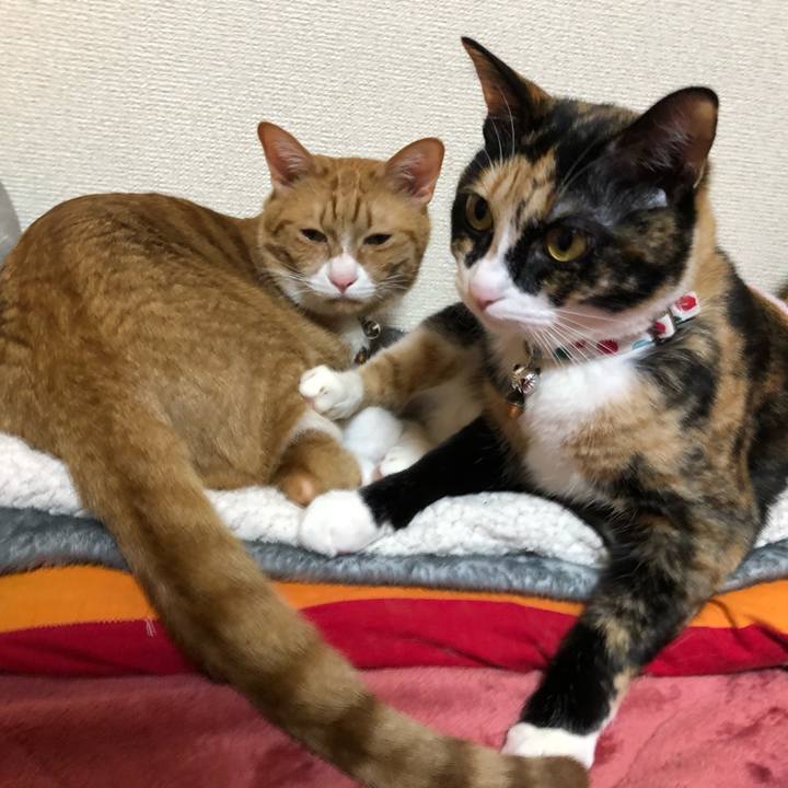 72f794a8 1003 4935 a499 7250e4d807be 1580484993461