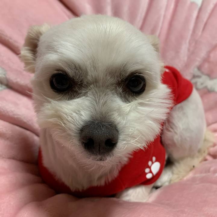 72f7b845 a561 43f9 9caa e09234be0c1a 1586859472402