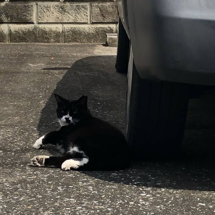 72f7b8de 98f1 45a5 a337 12243438e386 1559128455884