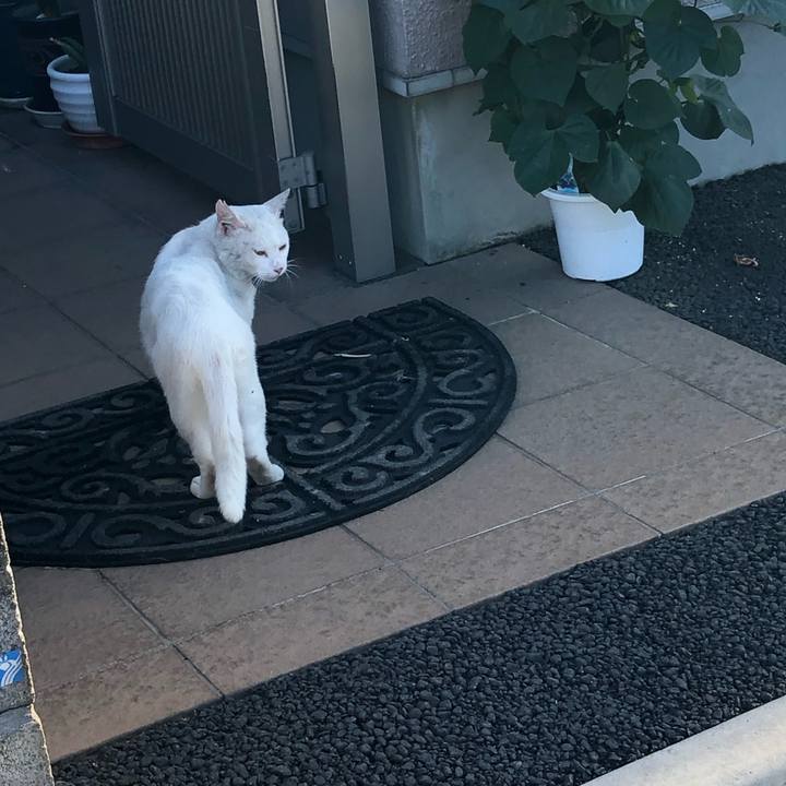 72f7fba7 ee42 4892 af07 2096e040b9c5 1564850594288