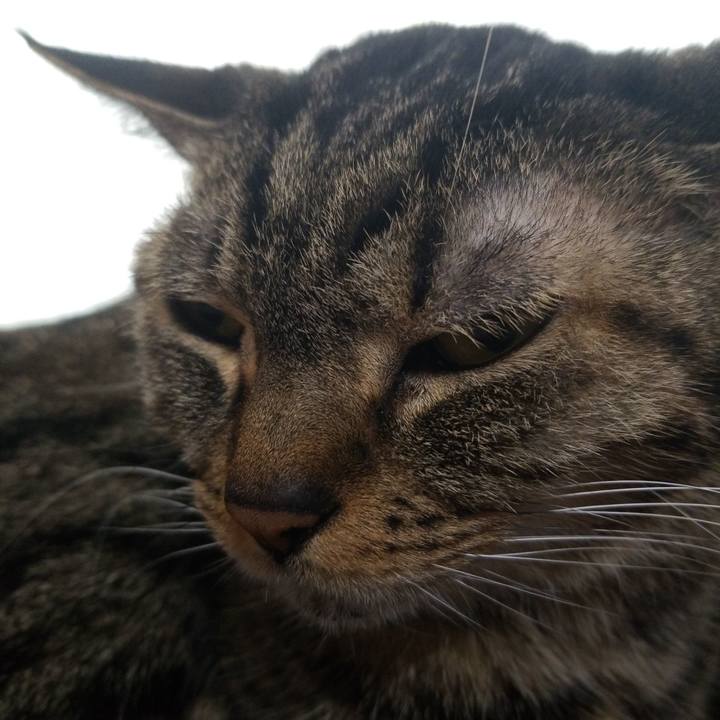 72f80e31 9891 4f17 8a36 fc8fa36e98fa 1575675123662