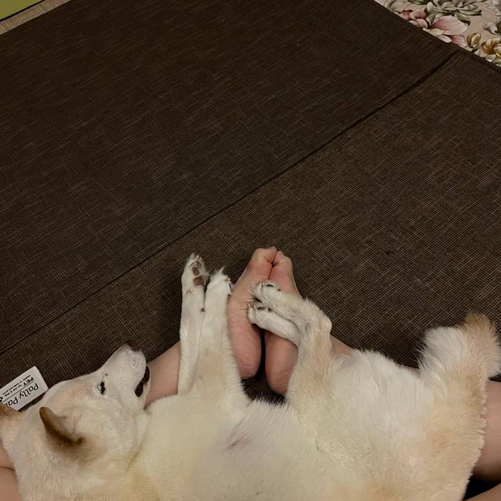 72f81226 3ebf 4f15 b1b4 c6d9bc9f8fdb 1659019782469