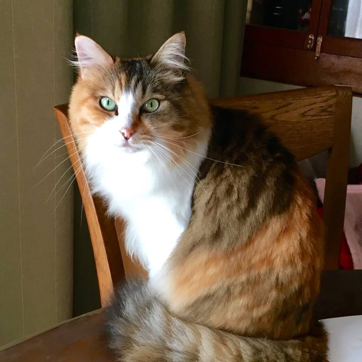 72f82c4c 741c 48cc b17e efc64ad2a81c 1569568099042