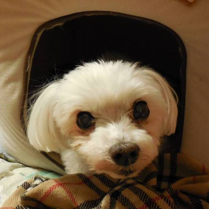 72f83a37 5bd9 4526 bc2d d8802c7d40b5 1544961162212