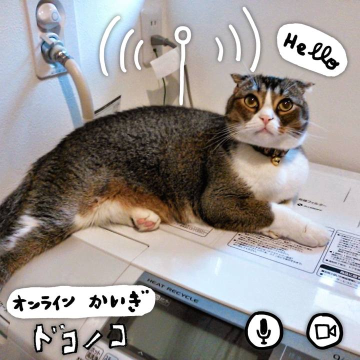 72f84860 4839 40af b095 0aae1849894a 1590725398564