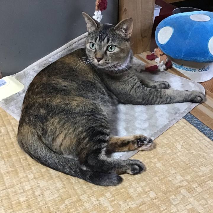 72f84a4d a891 4e57 b11b 131eee34ae39 1654924147708