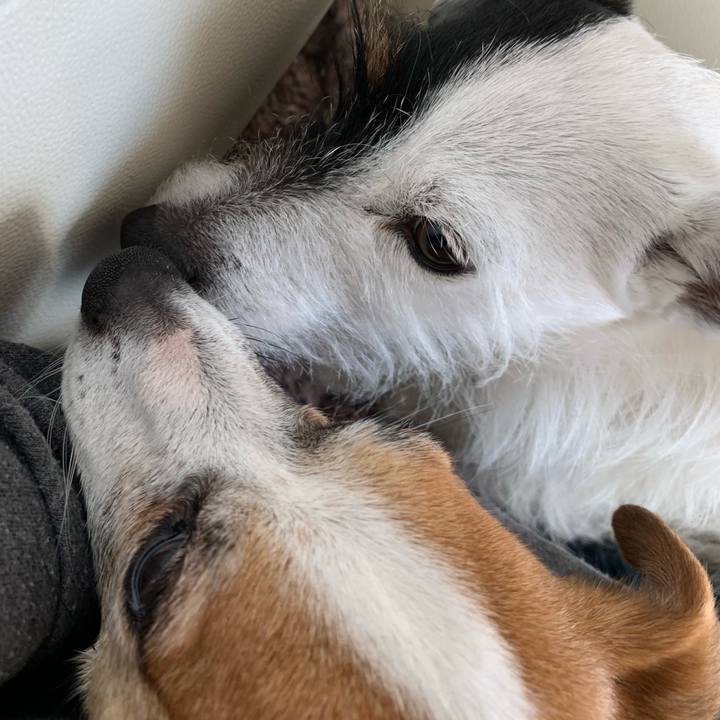 72f86817 0d67 495c be6b 6f2d5fa252bf 1647414037275