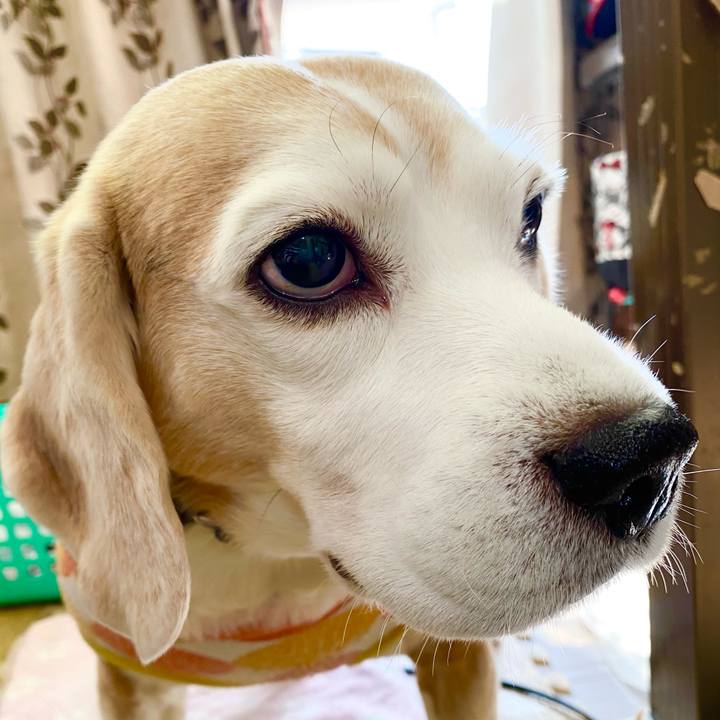 72f88713 9c43 45e1 be34 93e950eb11a5 1607570657425