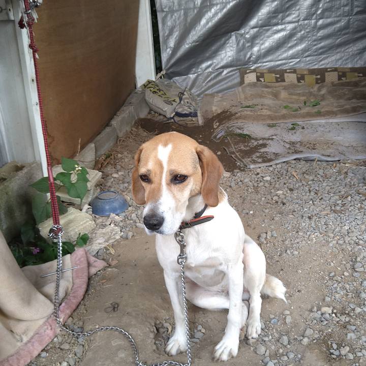 72f89b19 eeec 47a6 81cd ad264760aa7e 1624445932017