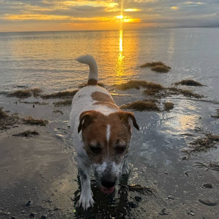 72f8cdba 9a24 4f37 a69b d1743229cda0 1761556253555