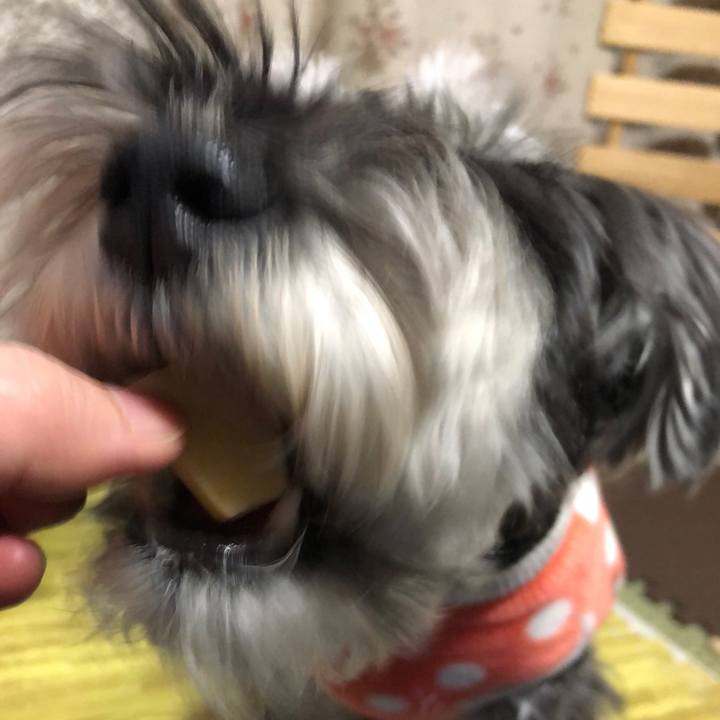 72f8ce9f d61f 4226 b7b8 2b1859addb8c 1702783257661