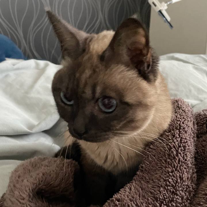 72f8d792 9190 4b26 8b91 bcdf71c8ad00 1773454034908