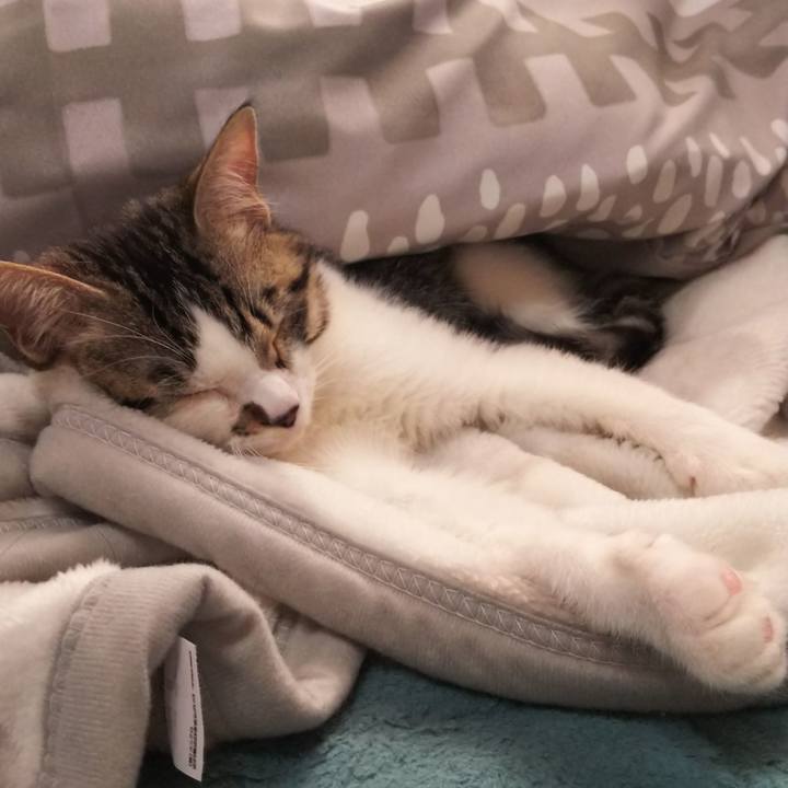 72f8fce6 1589 43ba 8bc8 809a74506590 1612079510861