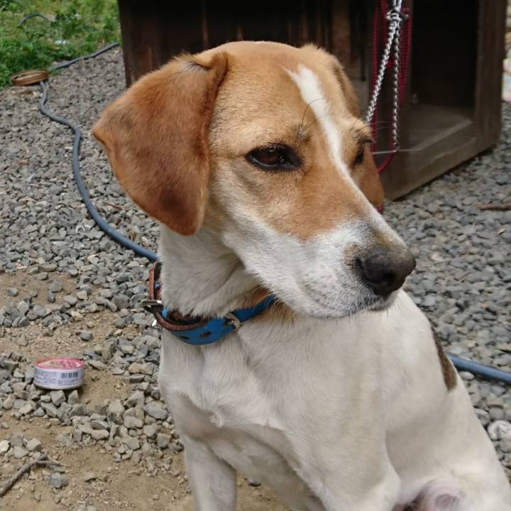 72f93994 d5cd 4b1c b117 d8adba32bbd2 1567087536926