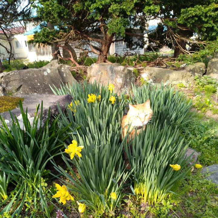 72f952e8 a5ab 4387 a497 f85c76c77c28 1682115324697