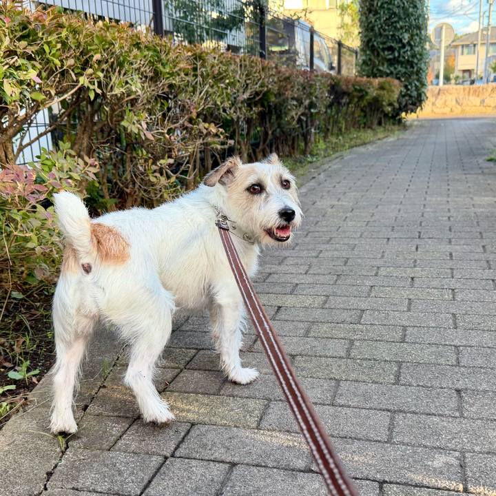 72f9dfc2 af0e 4def b1be ed2e69a8ac76 1761618437727