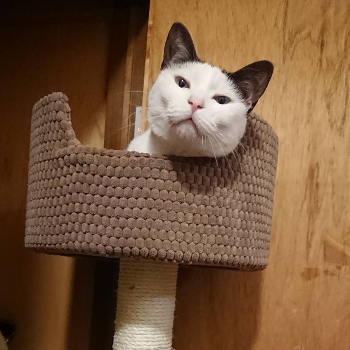 72fa17f1 8383 45d7 81ee efd40c7854f2 1579785434244