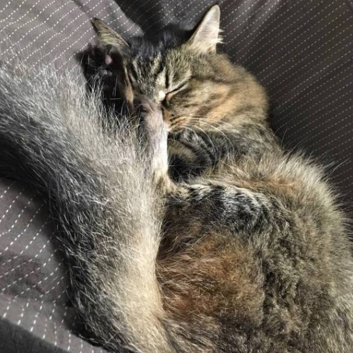 72fa3202 4dff 4694 81cc 0e0ba65a5e8d 1766013934554