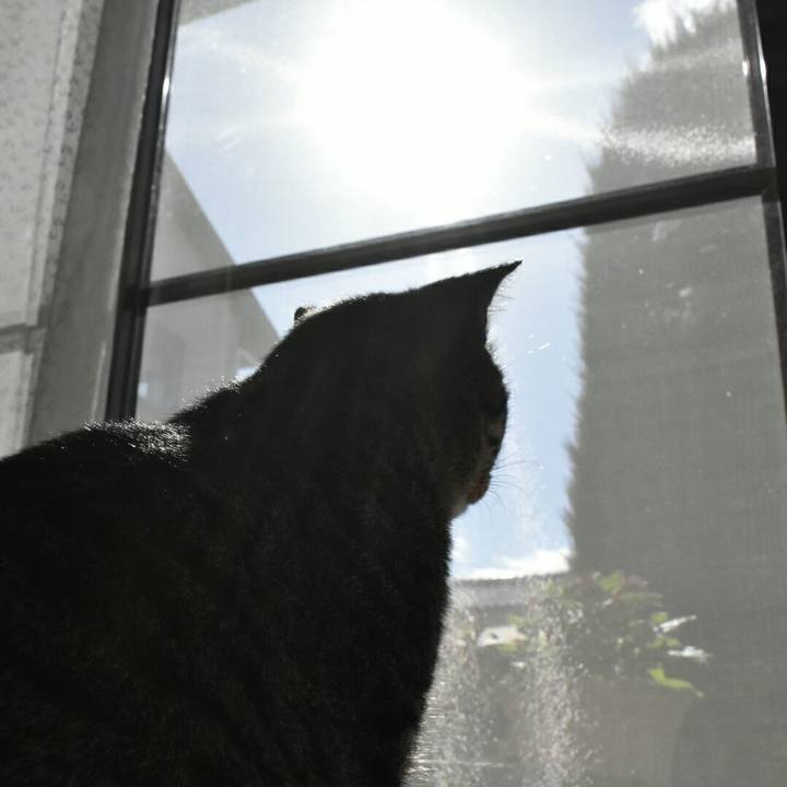 72fa51c4 c934 492c a0aa ead177611a42 1510712198479