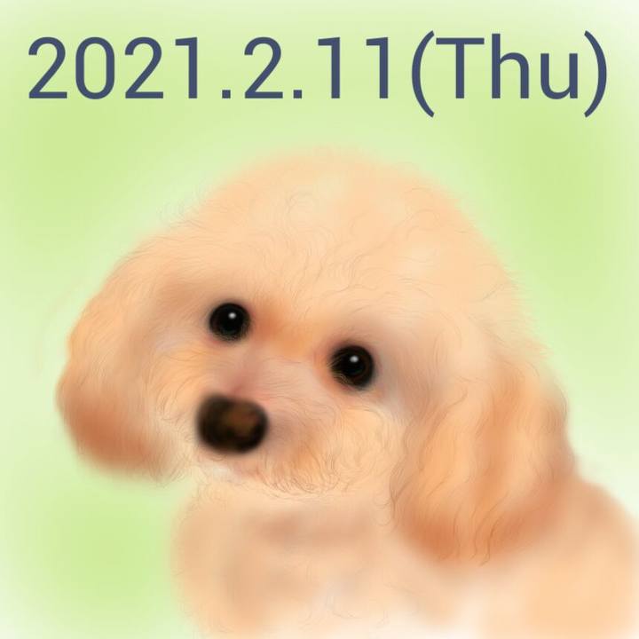 72fa6a64 4798 450f a667 9d82dc720753 1613022761362