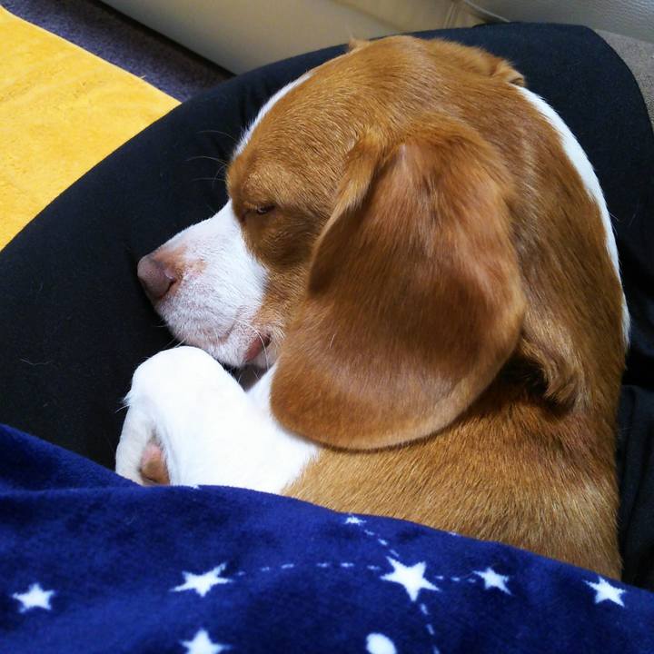 72fad3c4 bd8a 4b54 97c3 70d8b55b4ee0 1553165415068