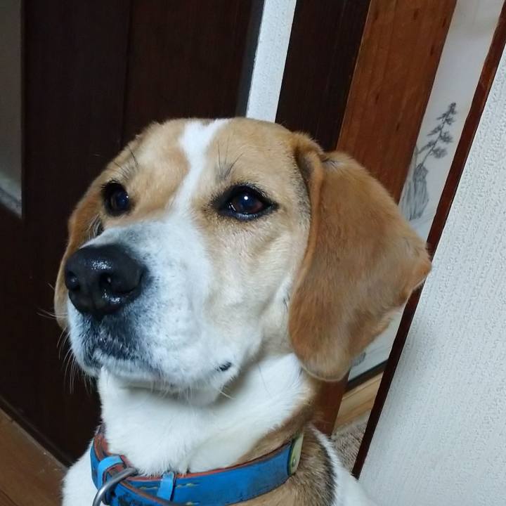 72fafa98 e3a1 40fd 8a9d 13aba75c3c50 1614511257147